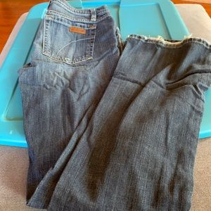 Joe’s Jeans Petit Provocateur Size 28